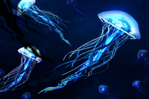 Jellyfishes 4K512456905 300x200 - Jellyfishes 4K - Jellyfishes, Artwork